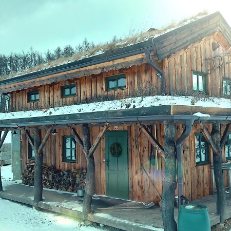 Chalet Boruvka - Biofarma Na Samote V Lesich Benesov  Bagian luar foto