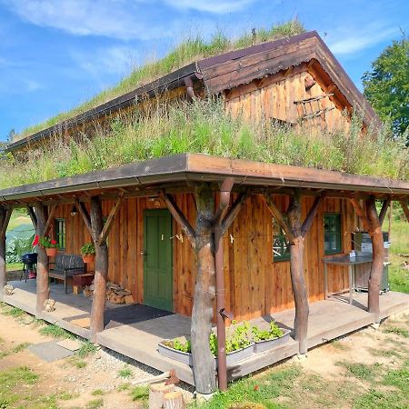 Chalet Boruvka - Biofarma Na Samote V Lesich Benesov  Bagian luar foto