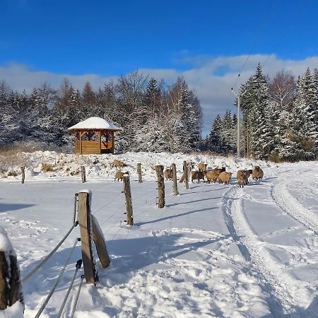 Chalet Boruvka - Biofarma Na Samote V Lesich Benesov  Bagian luar foto