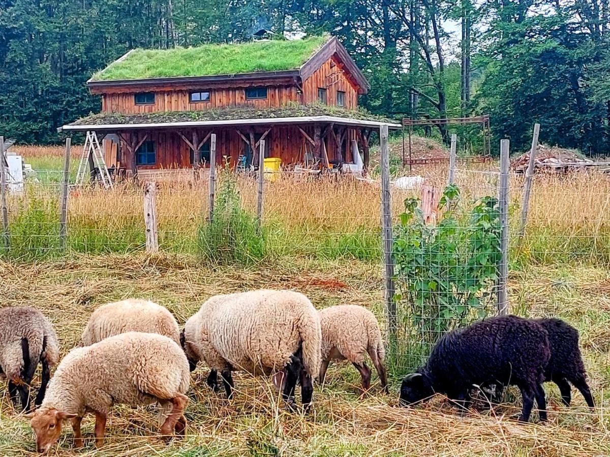 Chalet Boruvka - Biofarma Na Samote V Lesich Benesov  Bagian luar foto