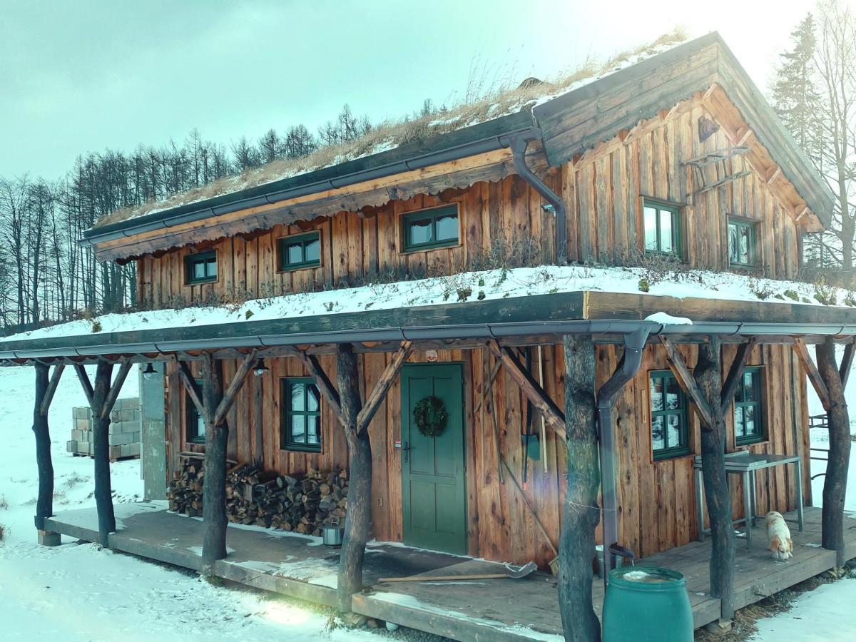 Chalet Boruvka - Biofarma Na Samote V Lesich Benesov  Bagian luar foto