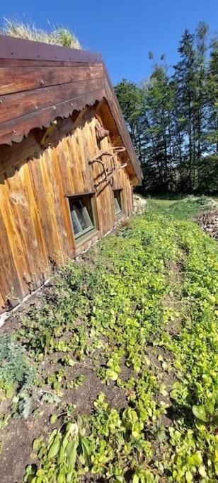Chalet Boruvka - Biofarma Na Samote V Lesich Benesov  Bagian luar foto