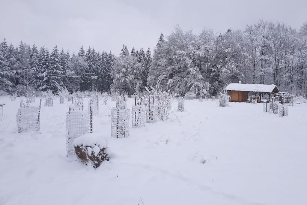 Chalet Boruvka - Biofarma Na Samote V Lesich Benesov  Bagian luar foto