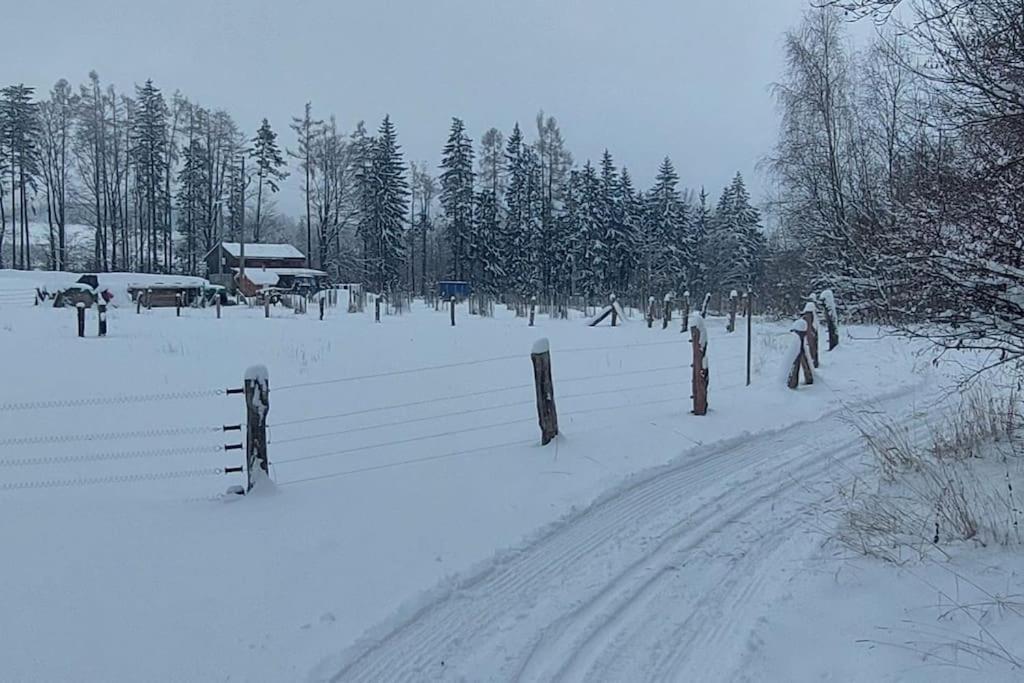Chalet Boruvka - Biofarma Na Samote V Lesich Benesov  Bagian luar foto