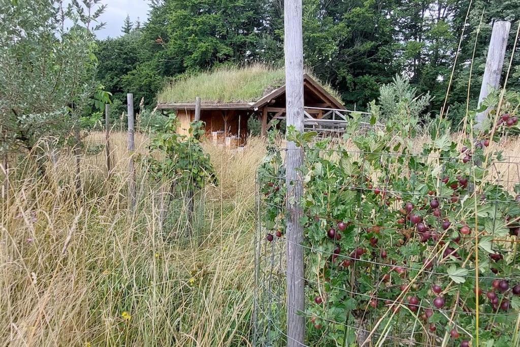 Chalet Boruvka - Biofarma Na Samote V Lesich Benesov  Bagian luar foto