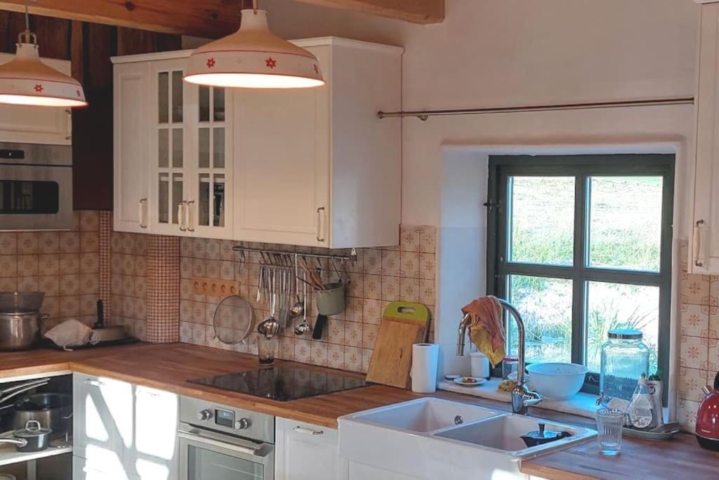 Chalet Boruvka - Biofarma Na Samote V Lesich Benesov  Bagian luar foto
