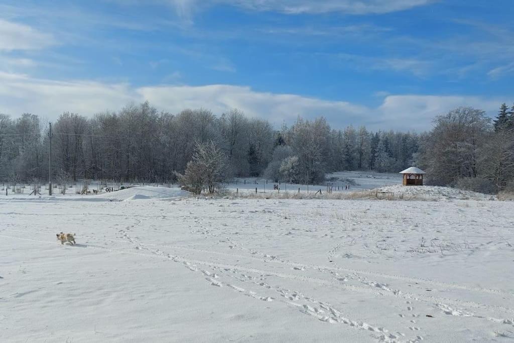 Chalet Boruvka - Biofarma Na Samote V Lesich Benesov  Bagian luar foto