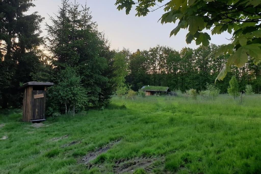Chalet Boruvka - Biofarma Na Samote V Lesich Benesov  Bagian luar foto