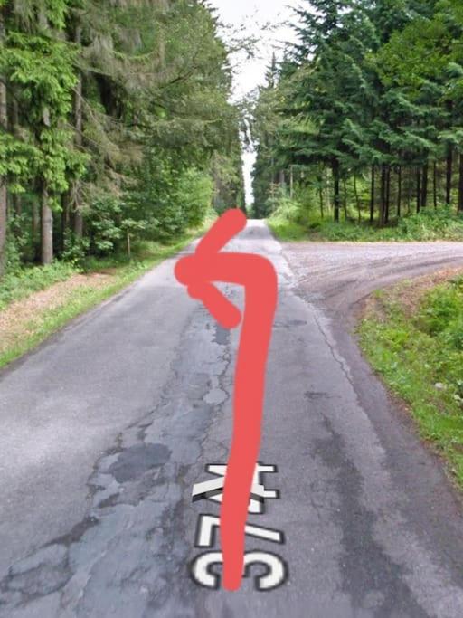 Chalet Boruvka - Biofarma Na Samote V Lesich Benesov  Bagian luar foto