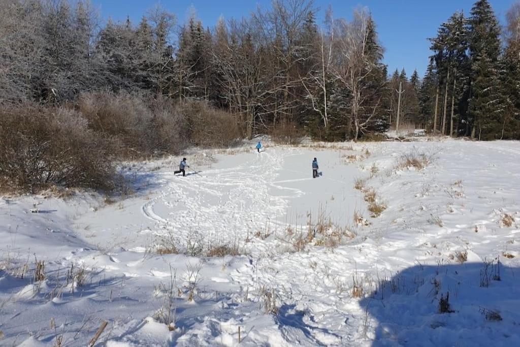 Chalet Boruvka - Biofarma Na Samote V Lesich Benesov  Bagian luar foto
