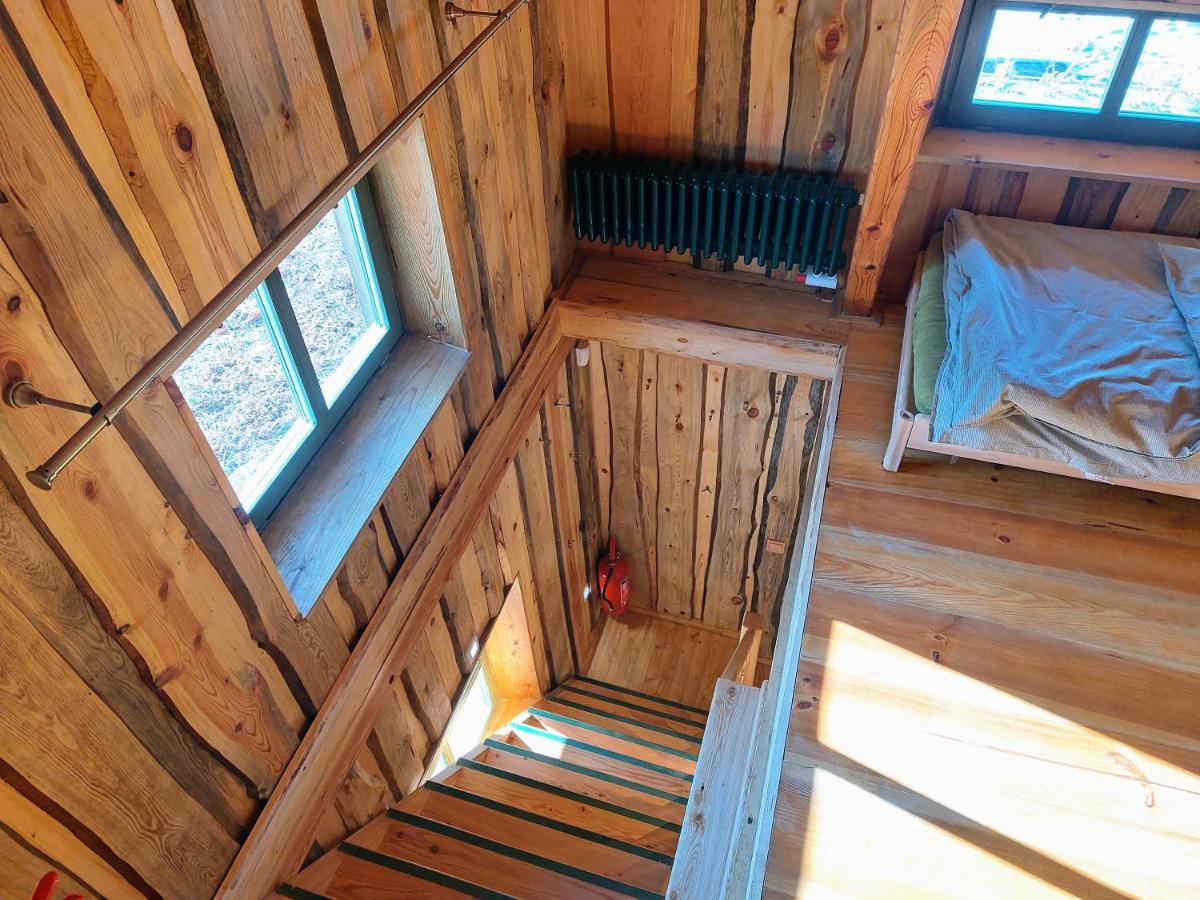 Chalet Boruvka - Biofarma Na Samote V Lesich Benesov  Bagian luar foto