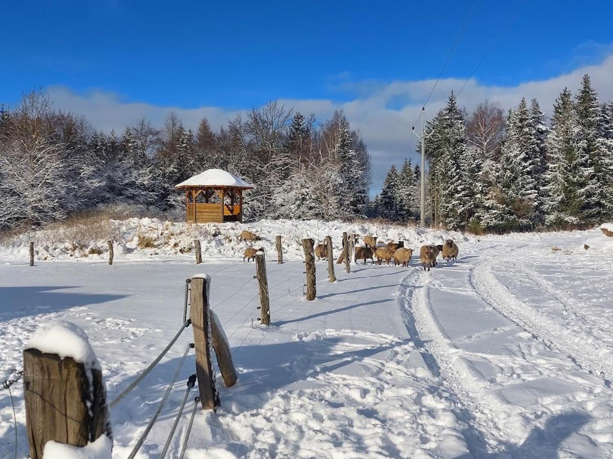 Chalet Boruvka - Biofarma Na Samote V Lesich Benesov  Bagian luar foto